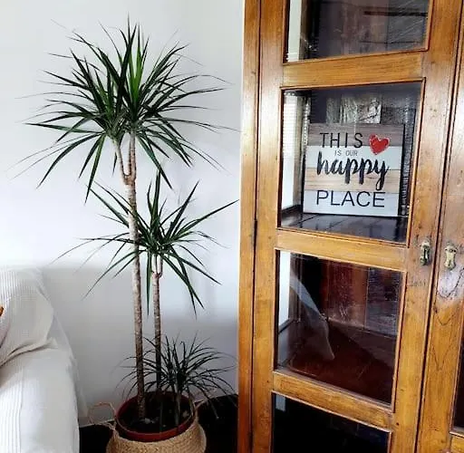 Charming Avenue Daire *